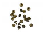 Tubular Rivet 10 Pack with 9mm head diameter 