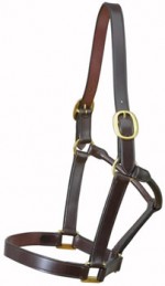 Brown Two Buckle Leather Headcollar by E. Jeffries
