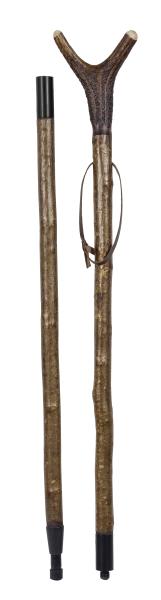 Ferrule which is attached to spike