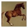 Whistlejacket