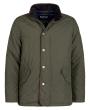 Dk Olive