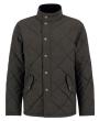Dark Olive
