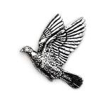 In Stock:
Yes
Wood Pigeon B34